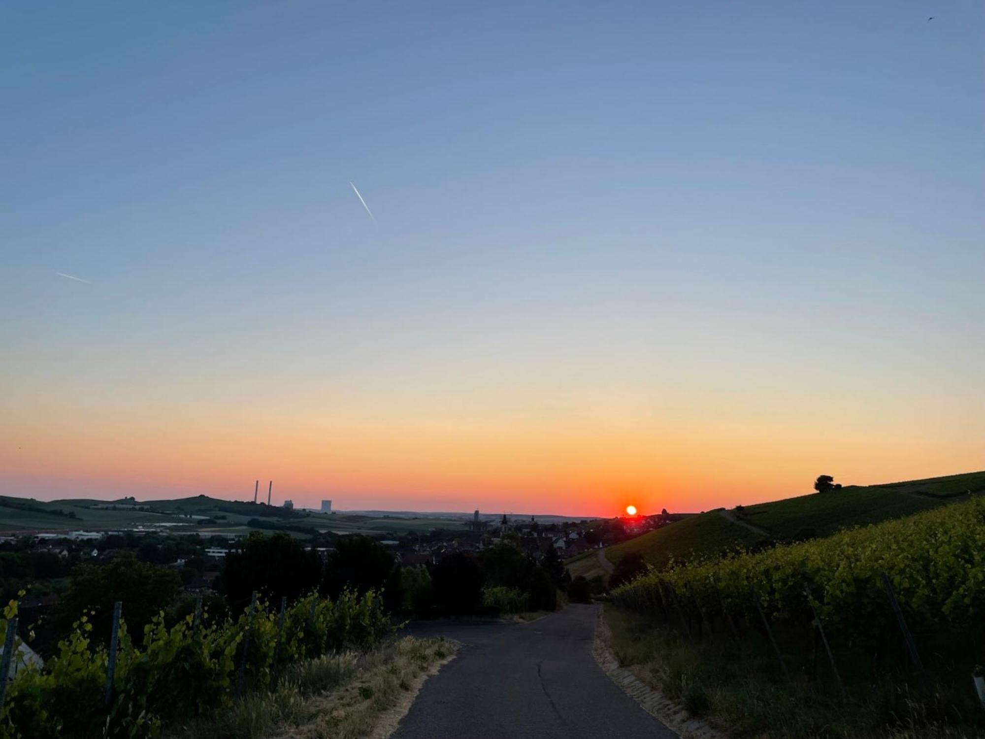 Erlenbach Ortsrand Am Kayberg *