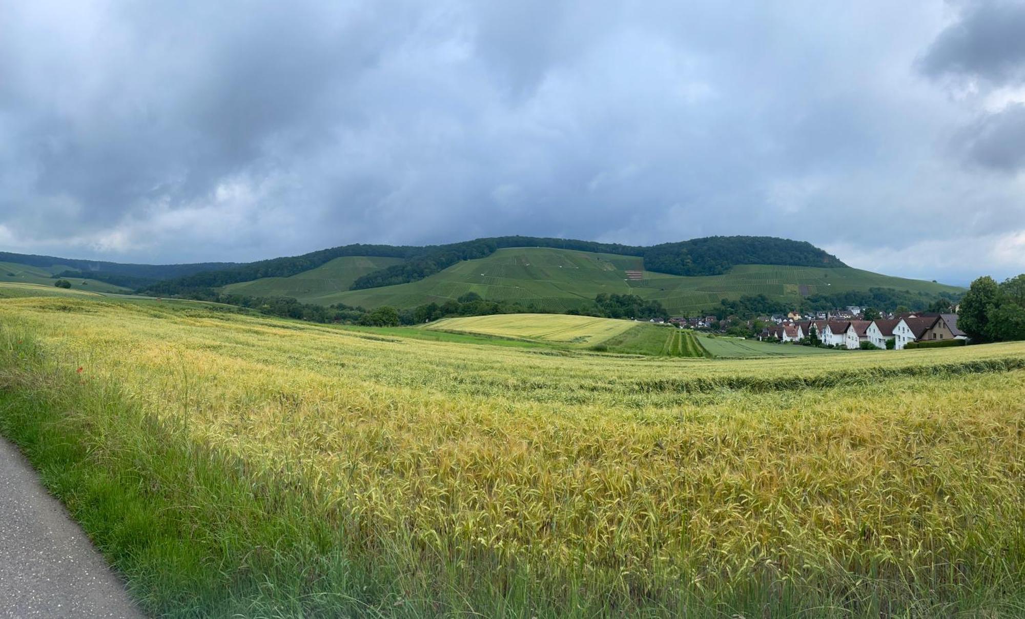 Erlenbach Ortsrand Am Kayberg Appartement Erlenbach (Heilbronn)